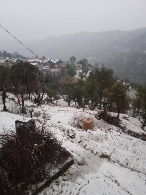 Valley View Family Unit Kasauli Εξωτερικό φωτογραφία